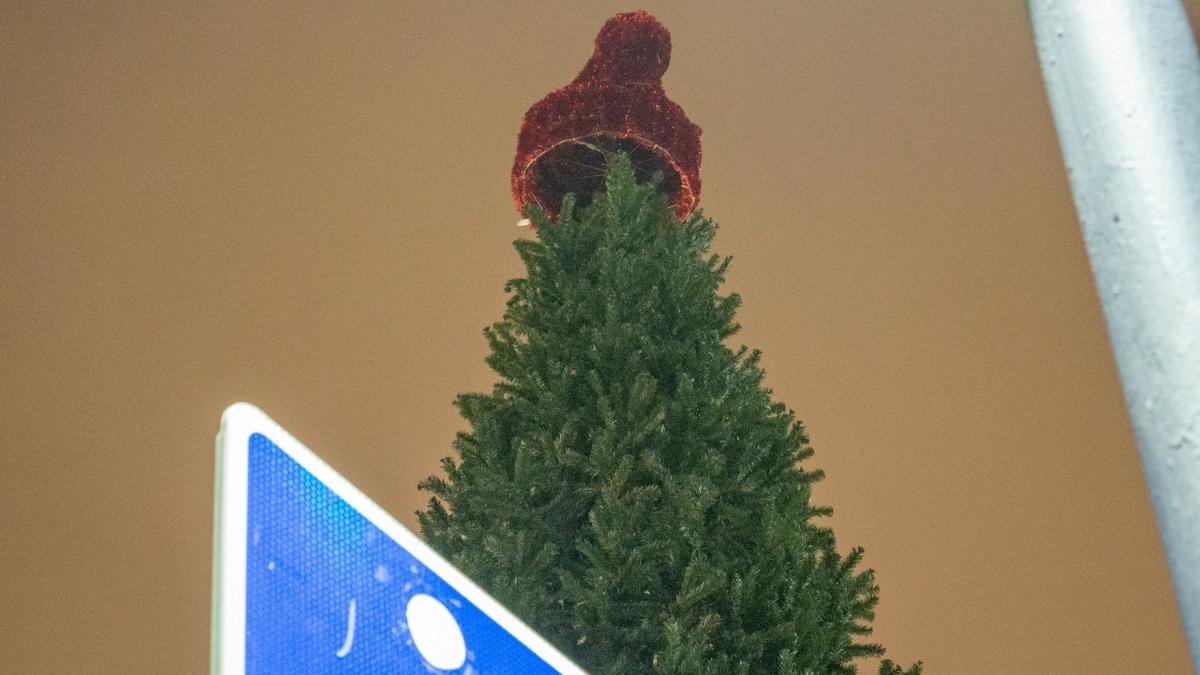 Фото: Дмитрий Абрамов / MR7