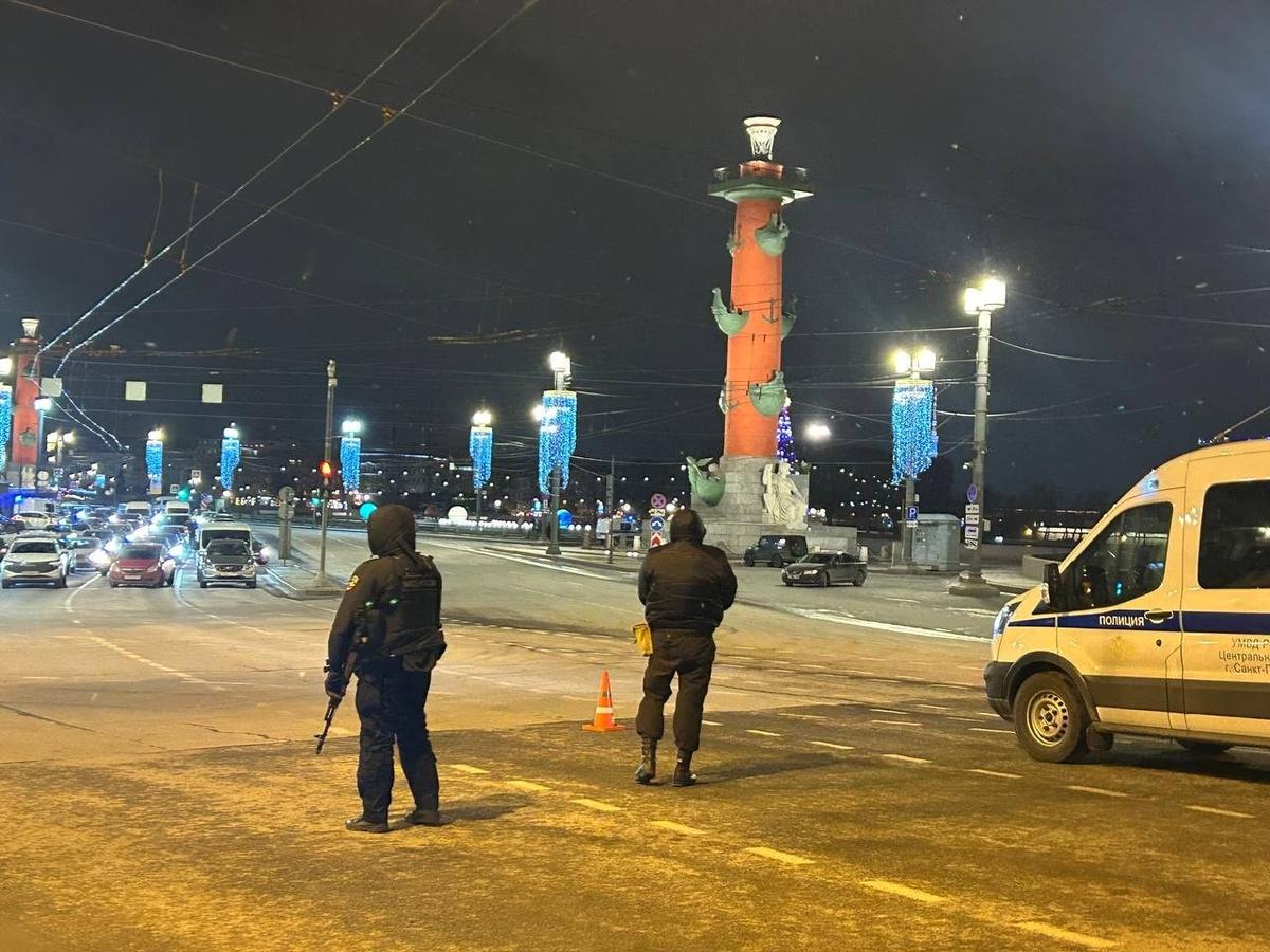 Фото: Дарья Дмитриева / MR7