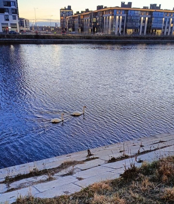 Фото: читатель МР7