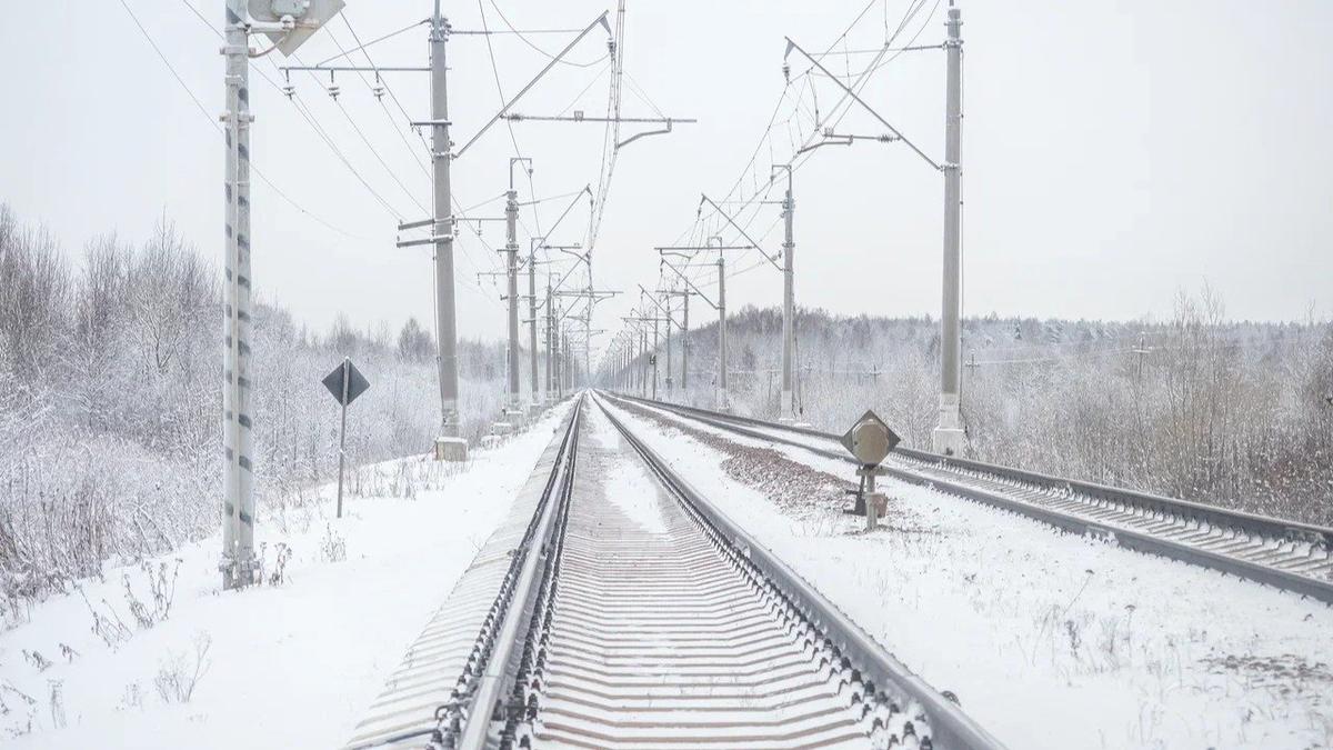 Фото: Олег Золото / MR7