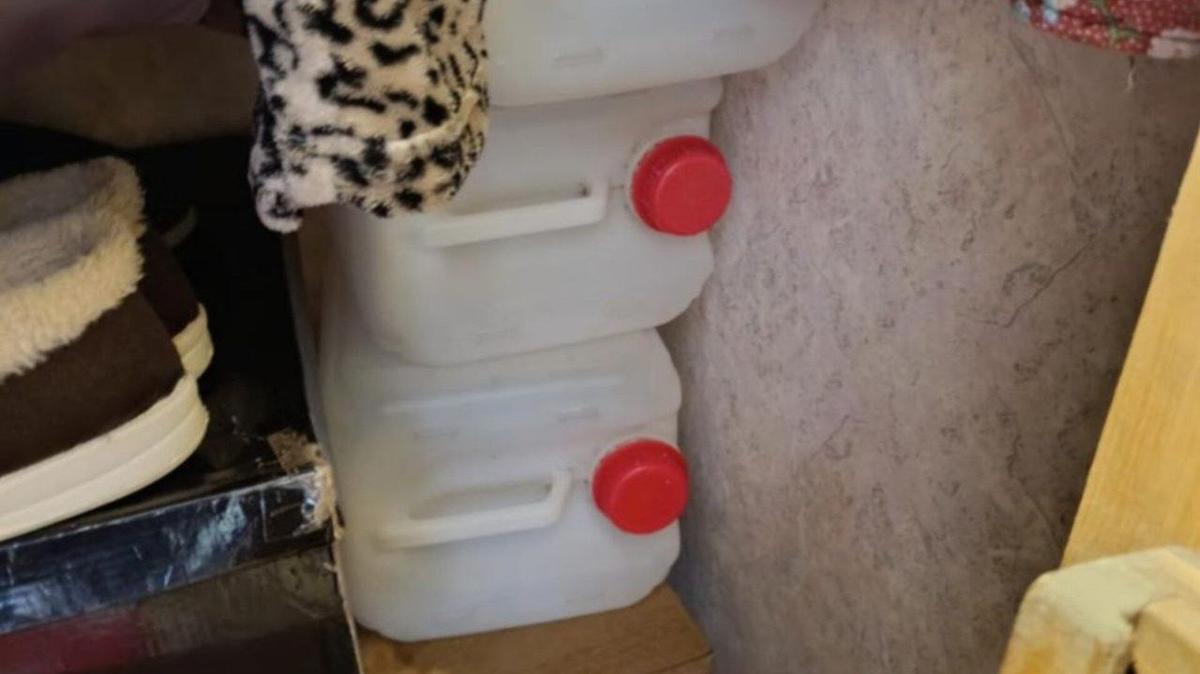 Фото: прокуратура Ленобласти