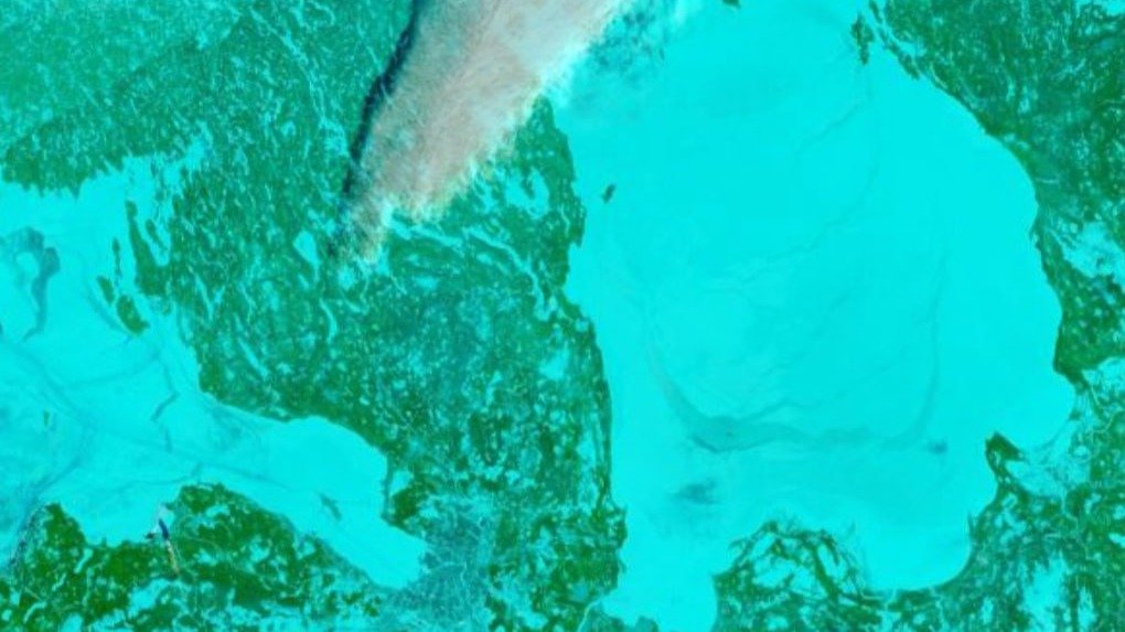 Изображение: telegram-канал Александра Колесова