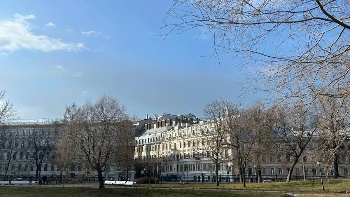 Фото: Дарья Дмитриева / МР7