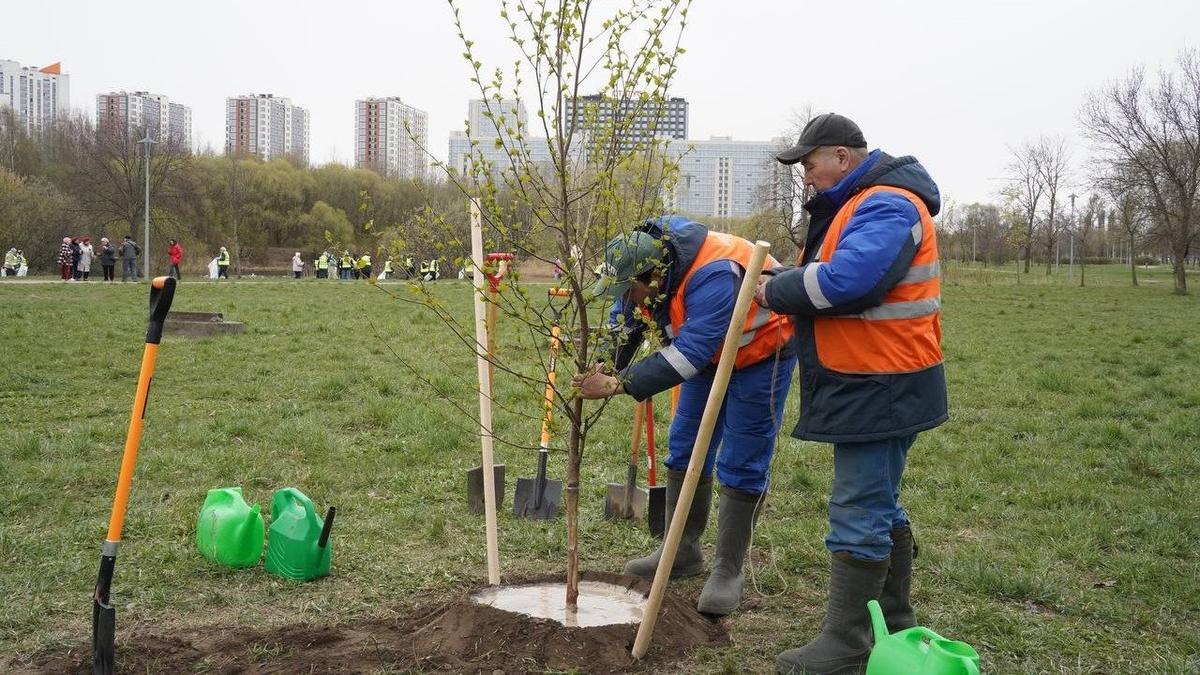 Фото: Павел Борисенко / МР7