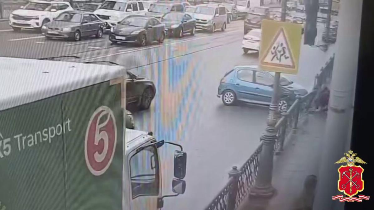 Скриншот видео ГУ МВД России по Петербургу и Ленобласти