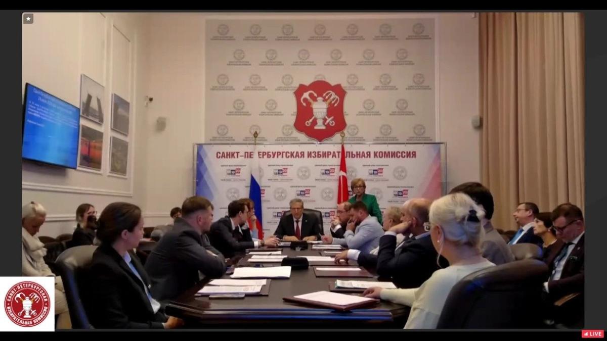 Скриншот трансляции заседания Горизбиркома 24 июля