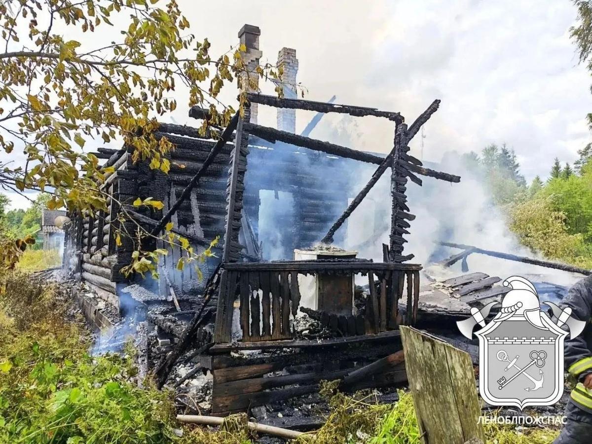 Фото: ГКУ «Леноблпожспас»