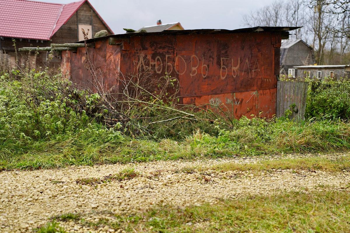 Фото: Павел Даиси / MR7