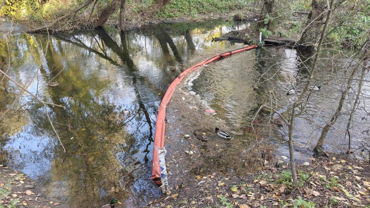 Дудергофка в мае 2026-го. Фото: «Транспортный коллапс, Красное Село»