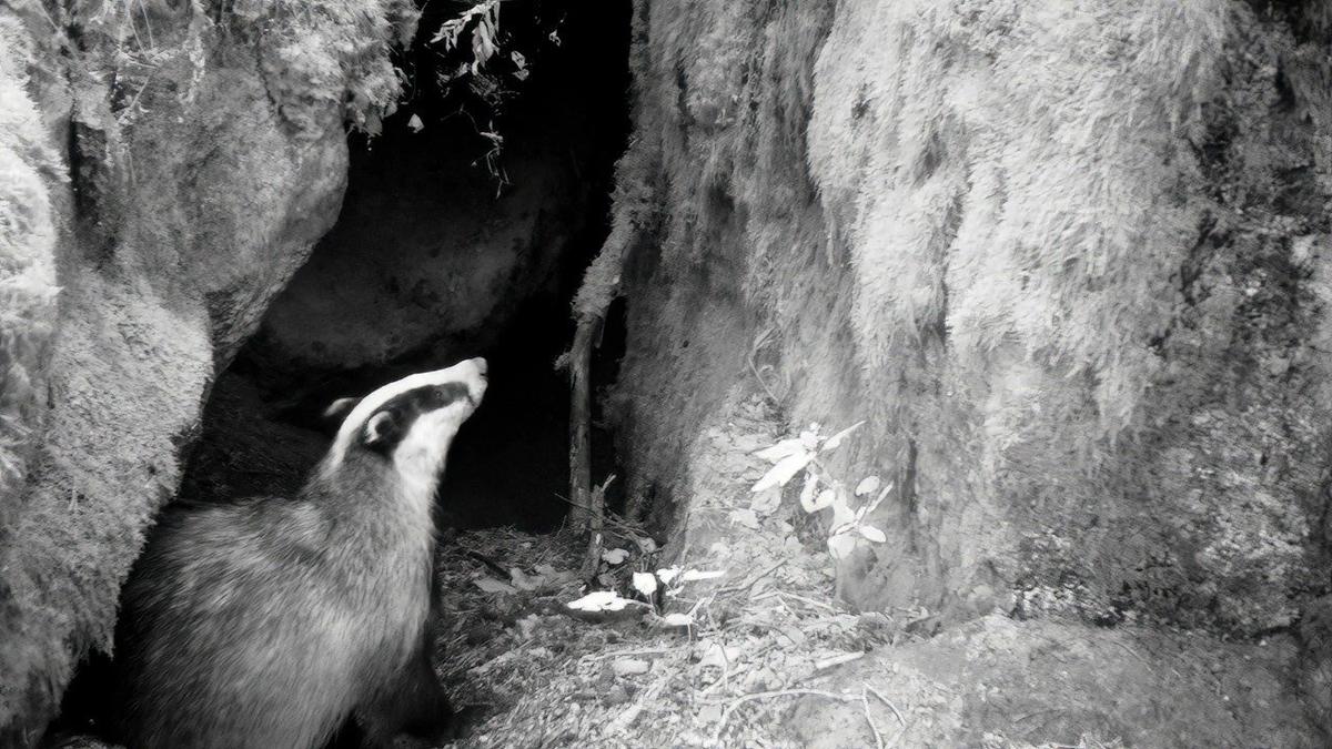 Фото: Даниил Карпиченко / «Каждой твари по паре»