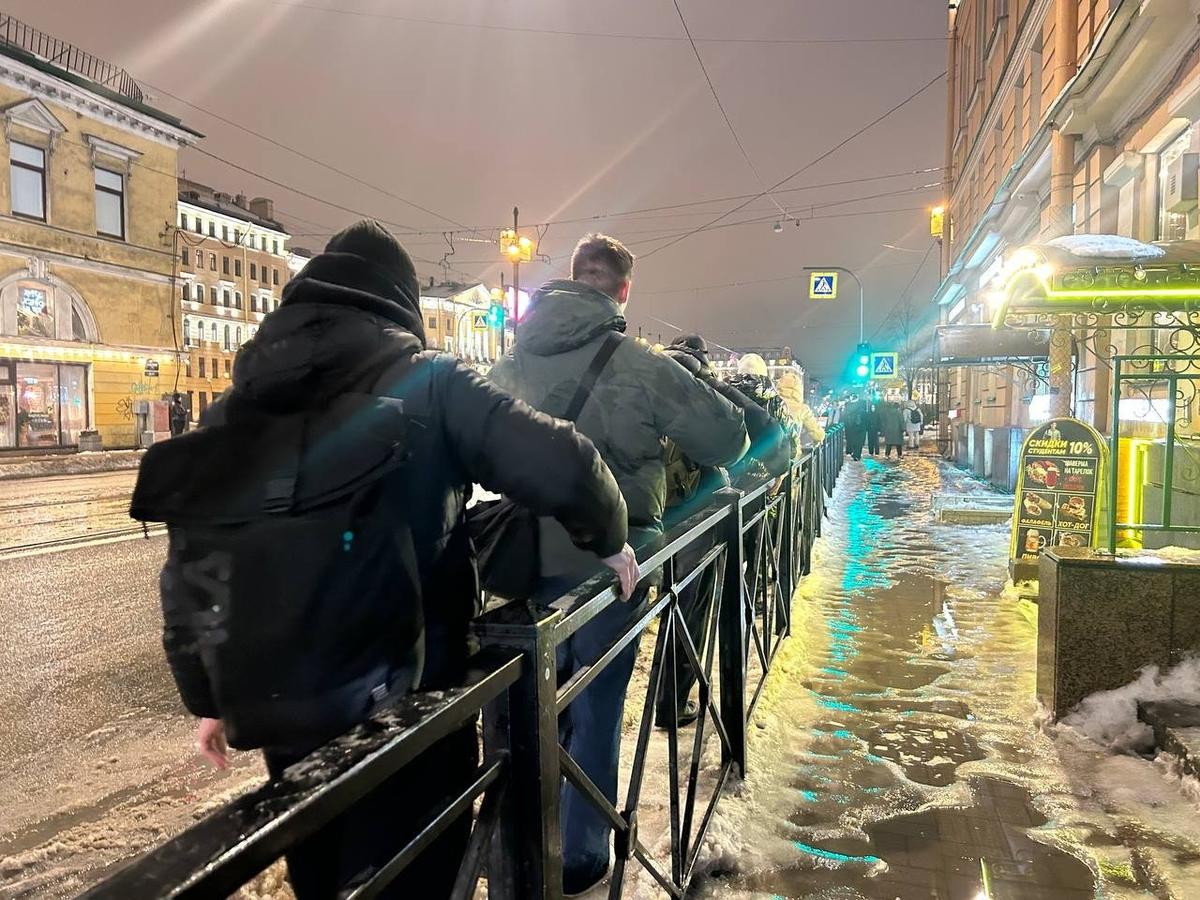 Фото: Дарья Дмитриева / MR7