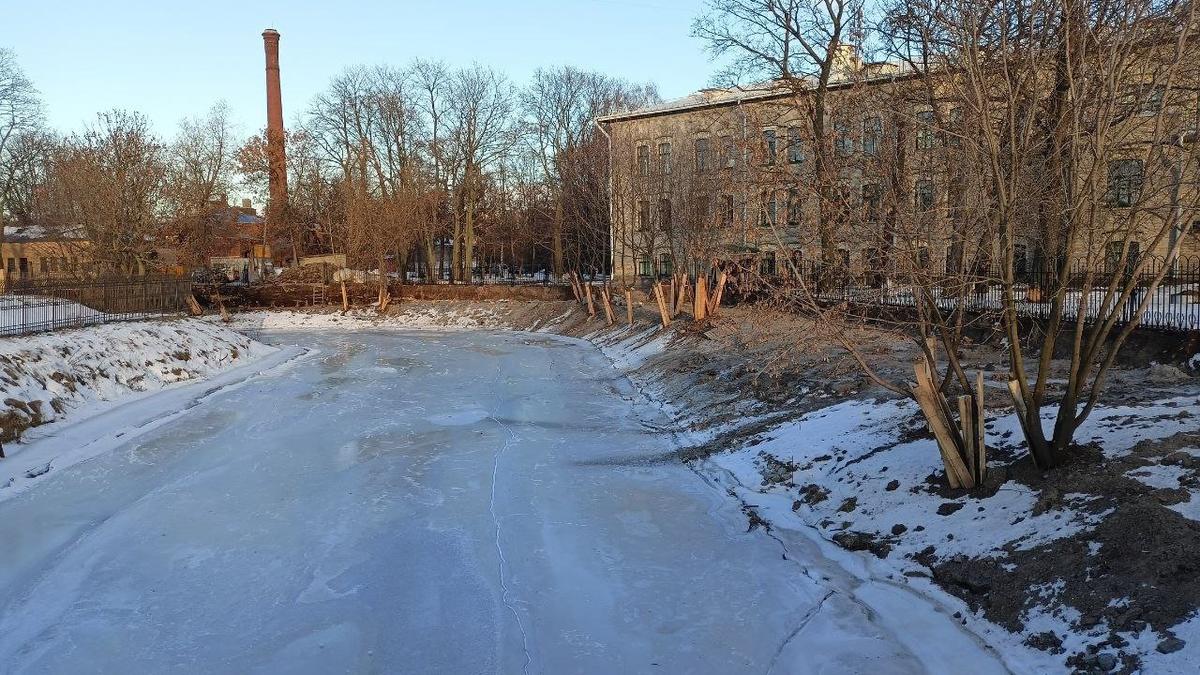 Петербуржцы просят Бастрыкина остановить застройку Кронверкской протоки