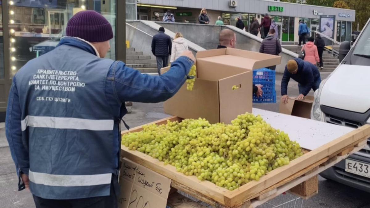 Скриншот видео: ККИ