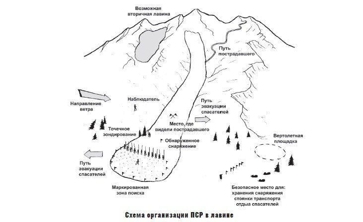 Схема организации поисково-спасательных работ в лавине. Источник: Сергей Веденин, «Основы лавинной безопасности. Спасательные работы» .