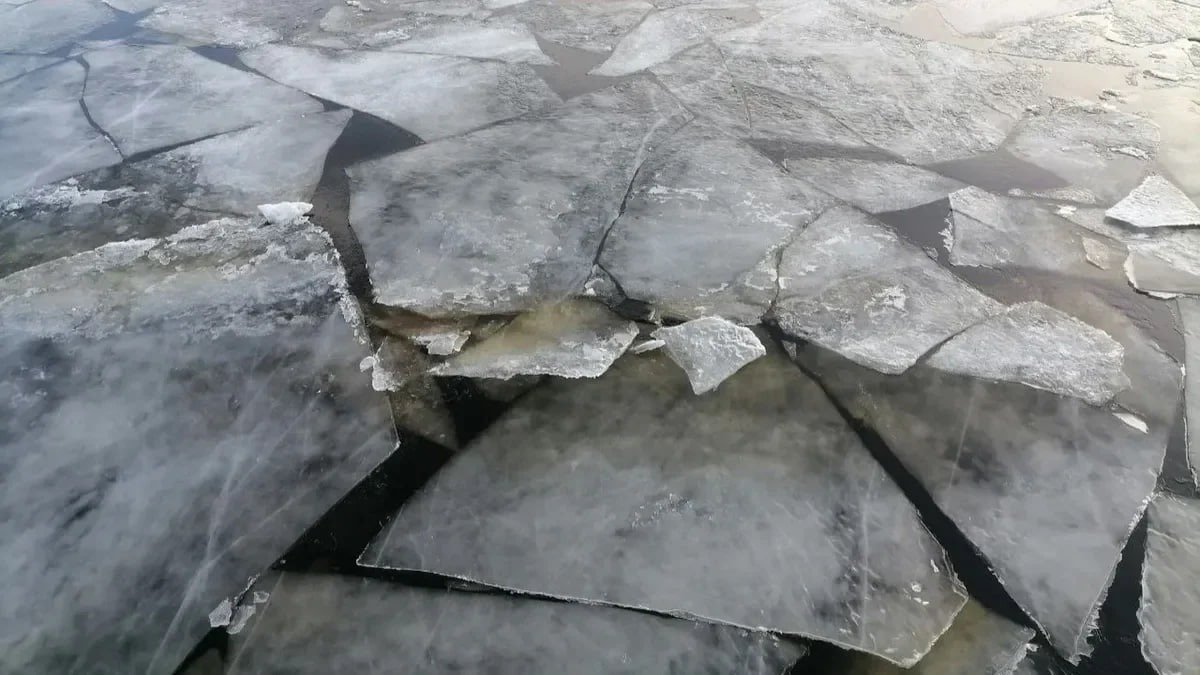 Фото: Елена Михина / MR7