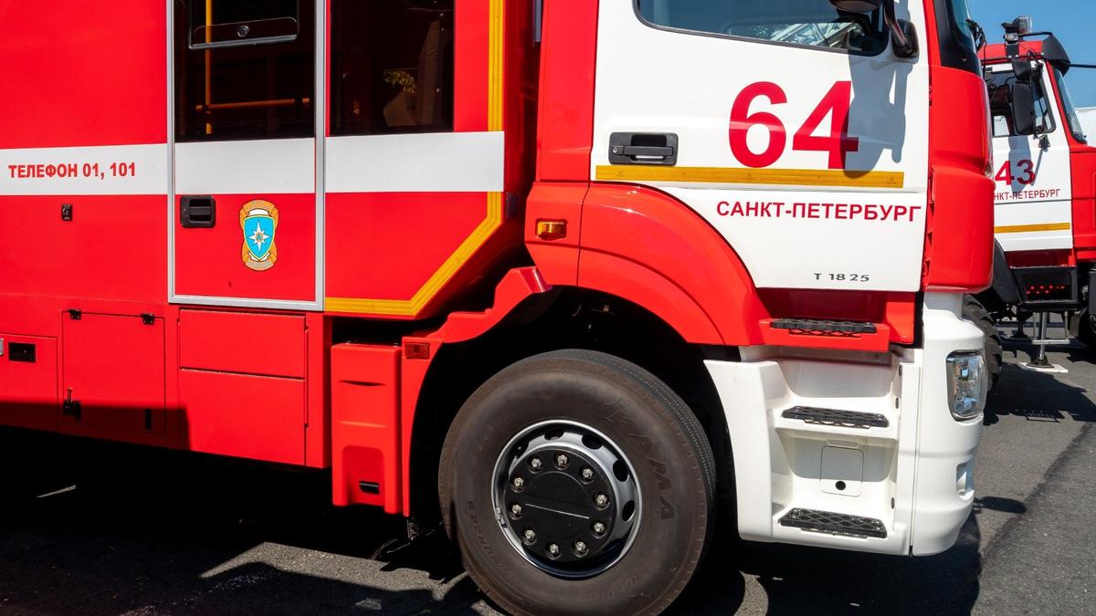 Фото: Олег Золото / MR7