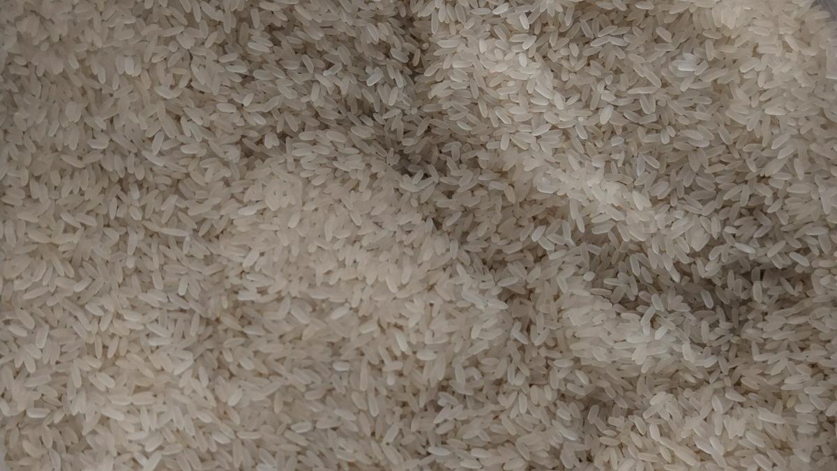 Фото: управление Россельхознадора по Северо-Западу