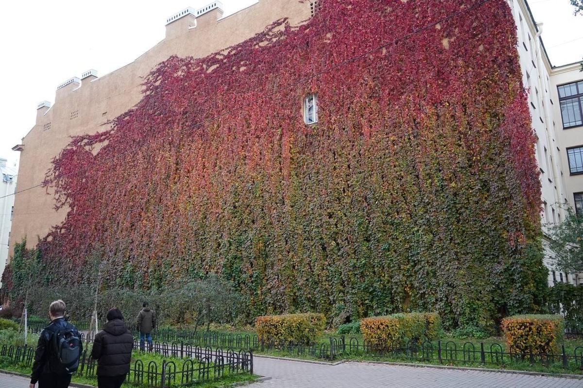 Фото: Павел Борисенко / MR7