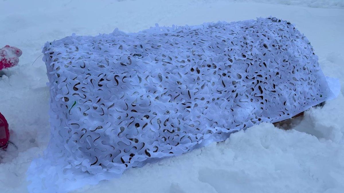 Фото: Фонд друзей балтийской нерпы