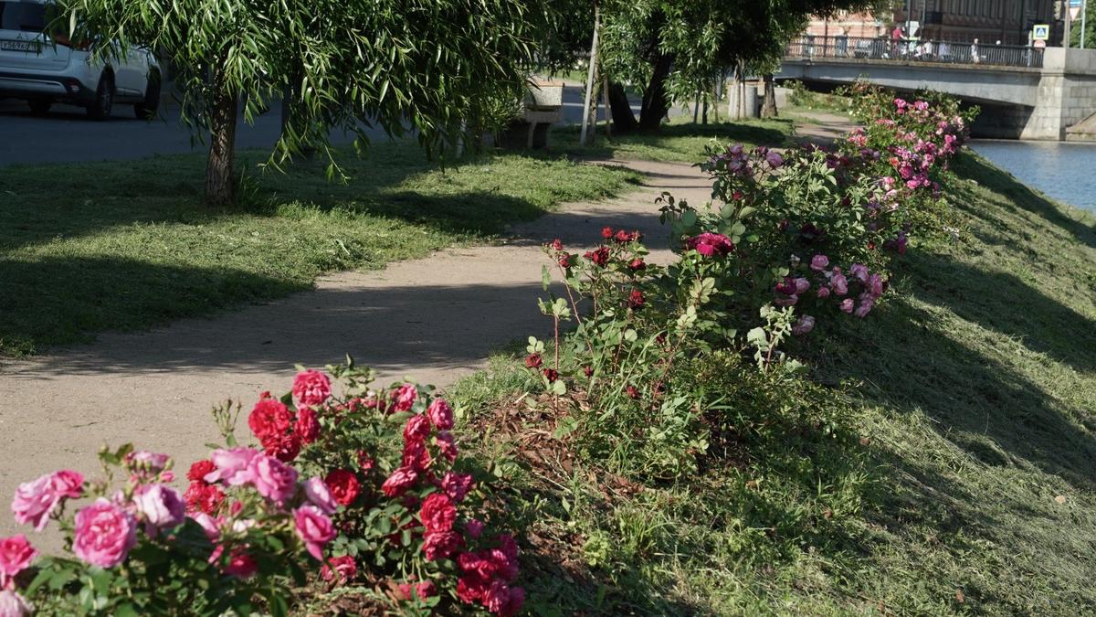 Фото: Павел Борисенко / МР7
