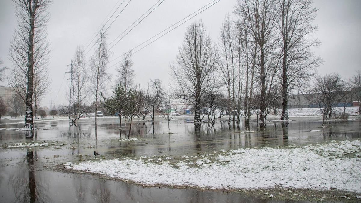 Плодовый сад рядом с будущей ВСМ в Купчино превратился в болотную стройплощадку