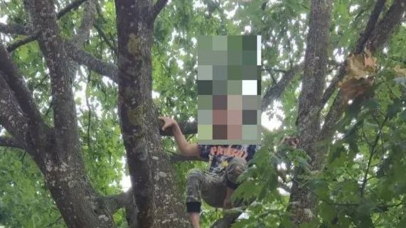 Фото: комитет по правопорядку и безопасности Ленобласти