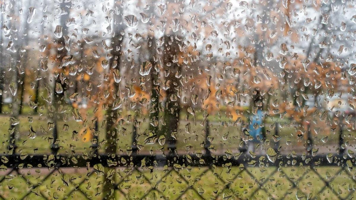 Фото: Олег Золото / MR7