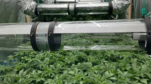 Фото: пресс-служба ГУ МВД по Петербургу и области.