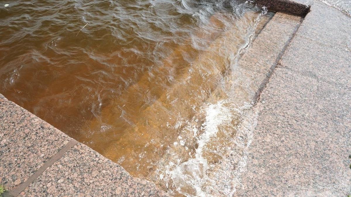 Фото: Павел Борисенко / MR7