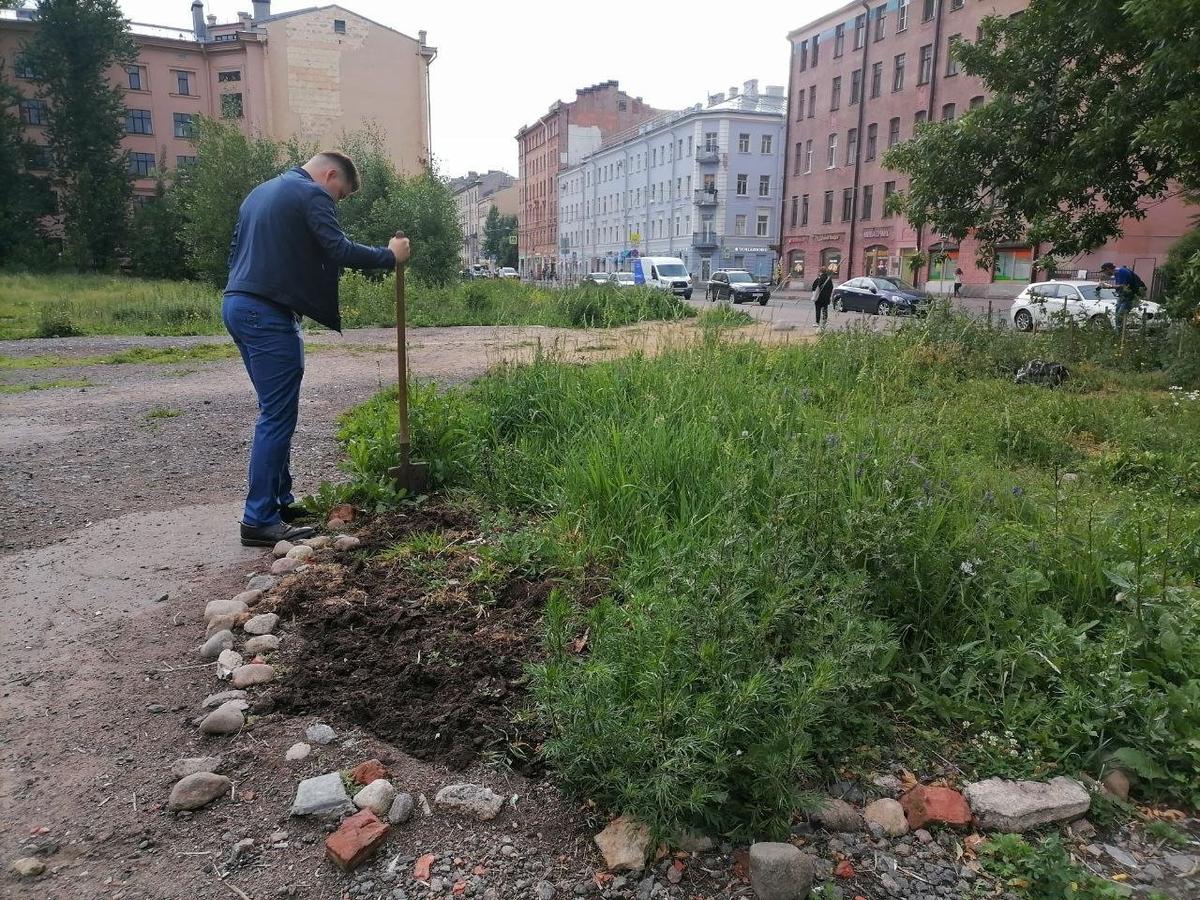 Участок на углу Кронверкской и Сытнинской улиц, где активисты хотят видеть сад. Фото: Елена Михина / MR7