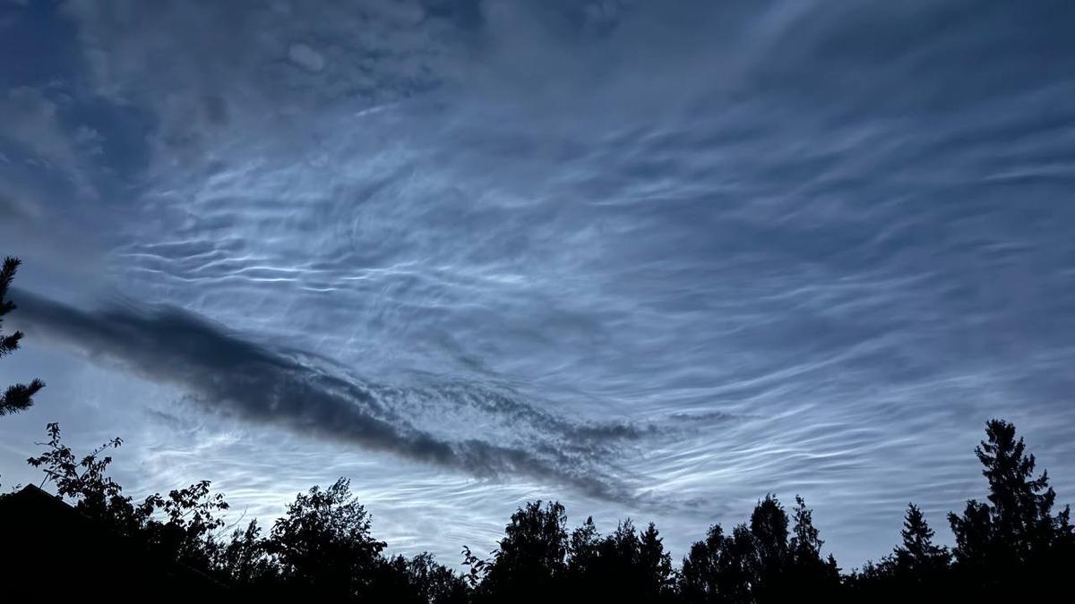 Гатчинский район Ленобласти. Фото: «АстроФотоБолото: атмосферное»
