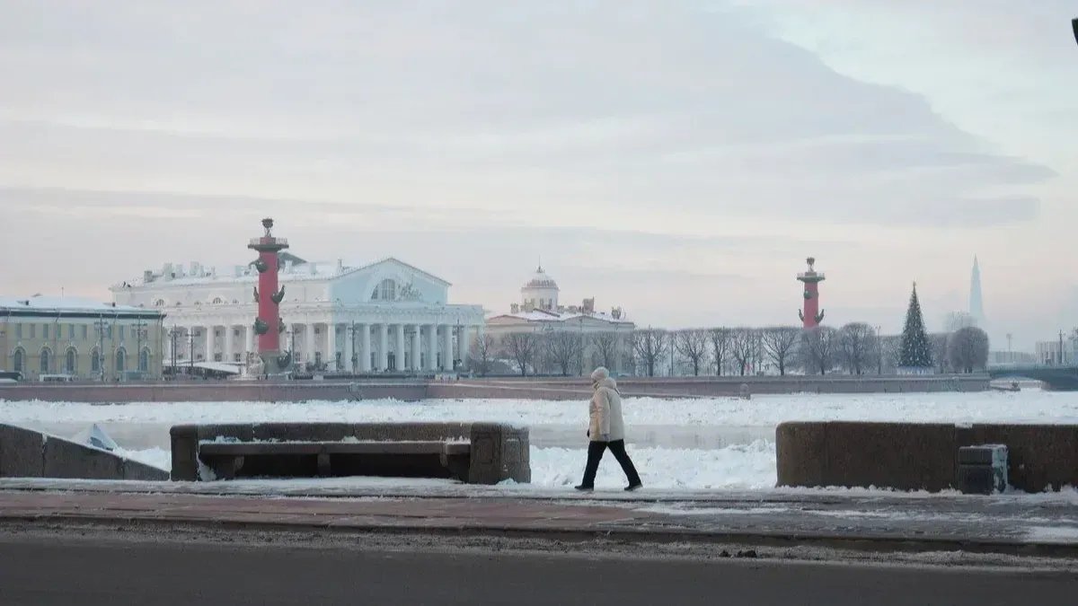 Фото: Дмитрий Абрамов / MR7