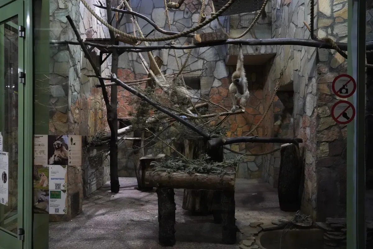 Ленинградский зоопарк. Фото: Павел Борисенко / МР7