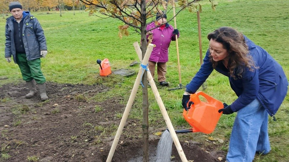 Фото: пресс-служба Красногвардейского