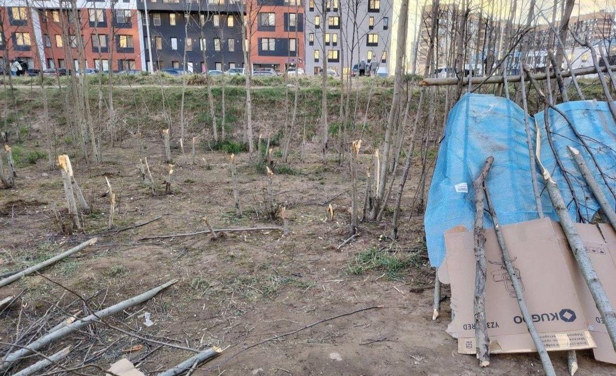 Фото: «Девяткино онлайн»