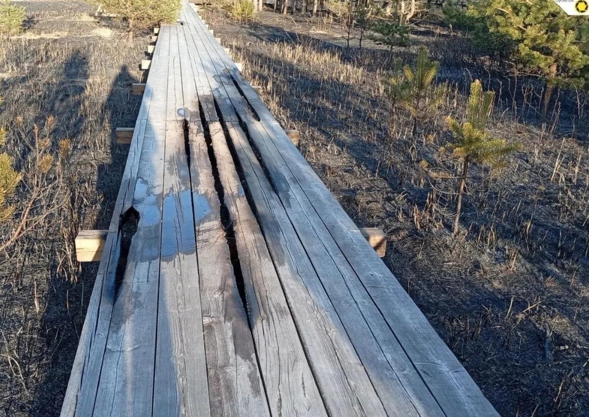 Фото: ЛОГБУ «Дирекция ООПТ Ленинградской области»