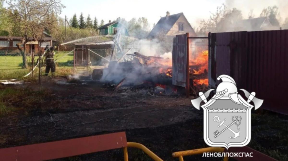 Фото: ГКУ «Леноблпожспас»