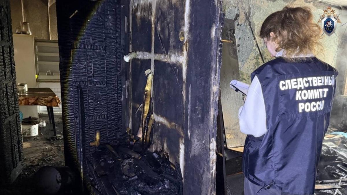 Фото: ГСУ СК по Петербургу