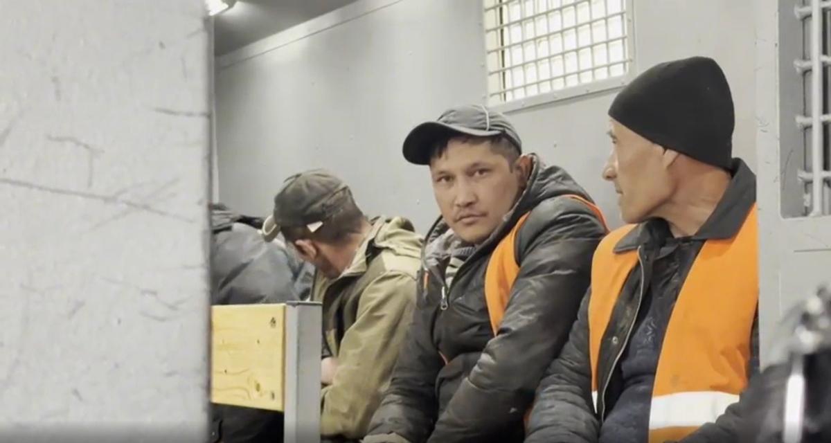 Скриншот видео: ГУ МВД по Петербургу и Ленобласти