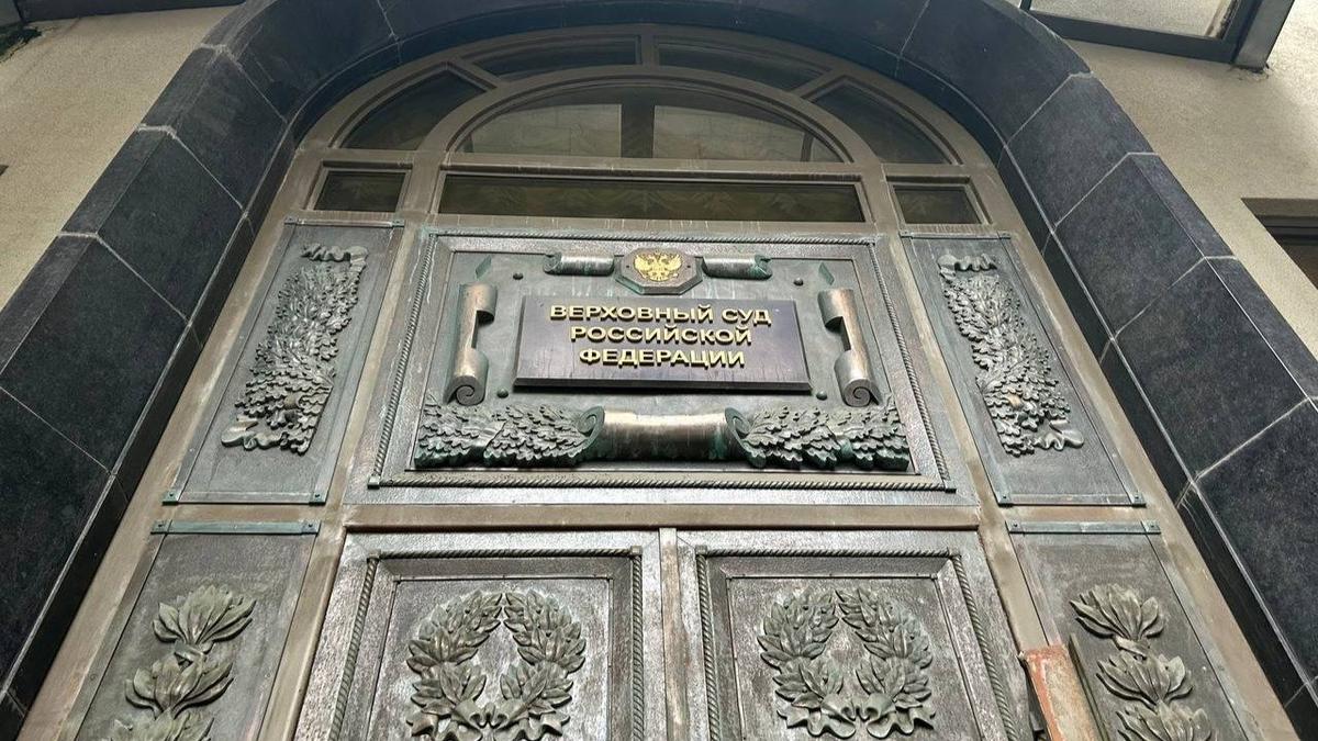 Фото: Дарья Дмитриева / МР7