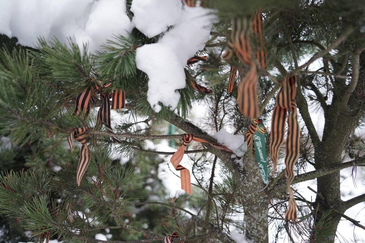 Фото: Павел Борисенко / MR7