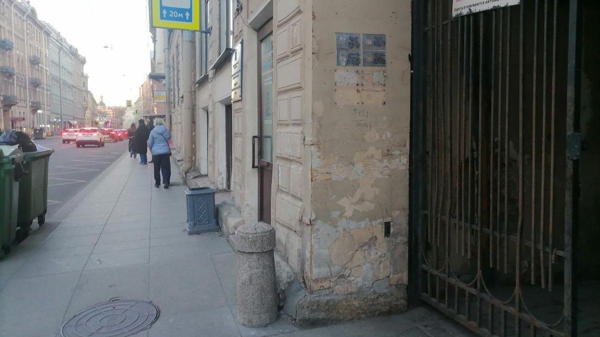 Фото: Елена Михина / МР7