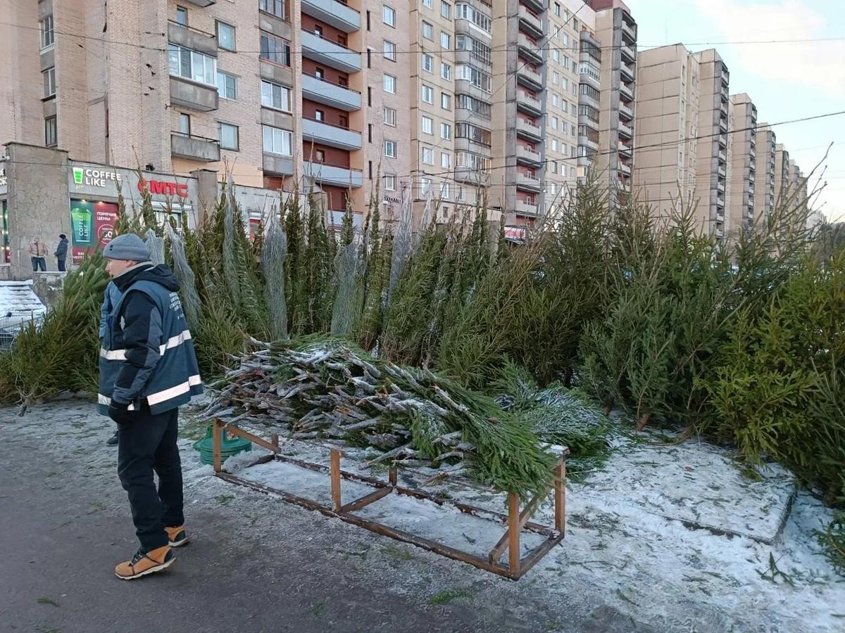 Фото: пресс-служба комитета по контролю за имуществом Петербурга