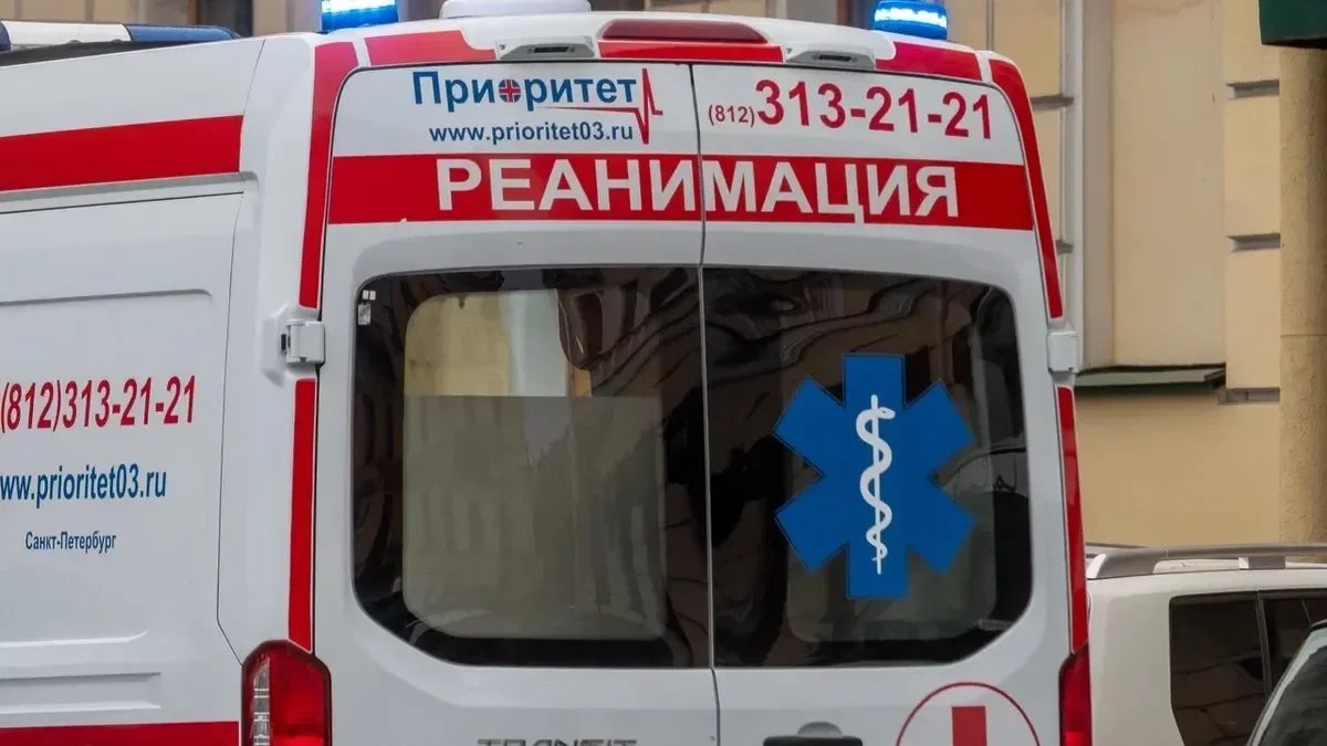 Фото: Олег Золото / МР7