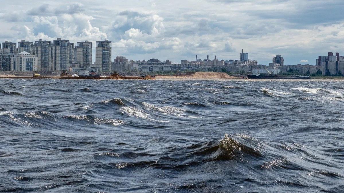 Фото: Олег Золото / MR7