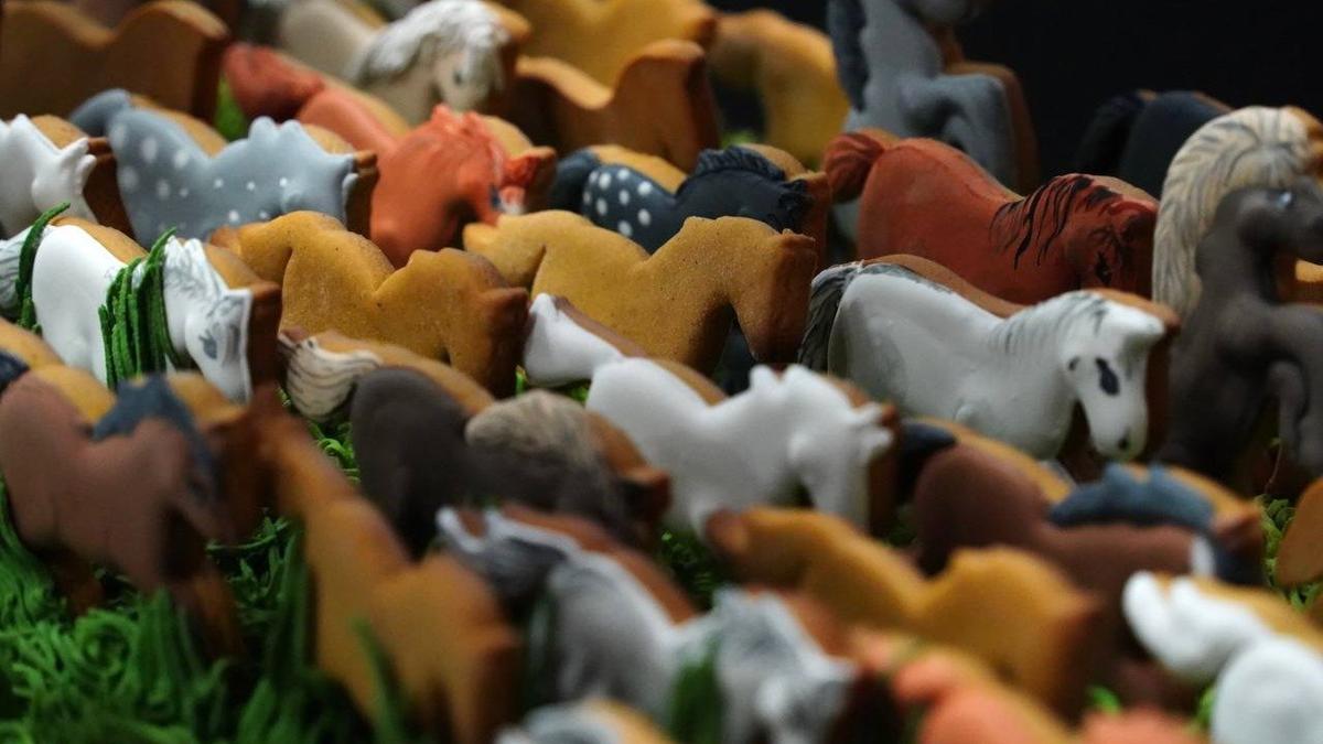 Фото: Павел Борисенко / MR7