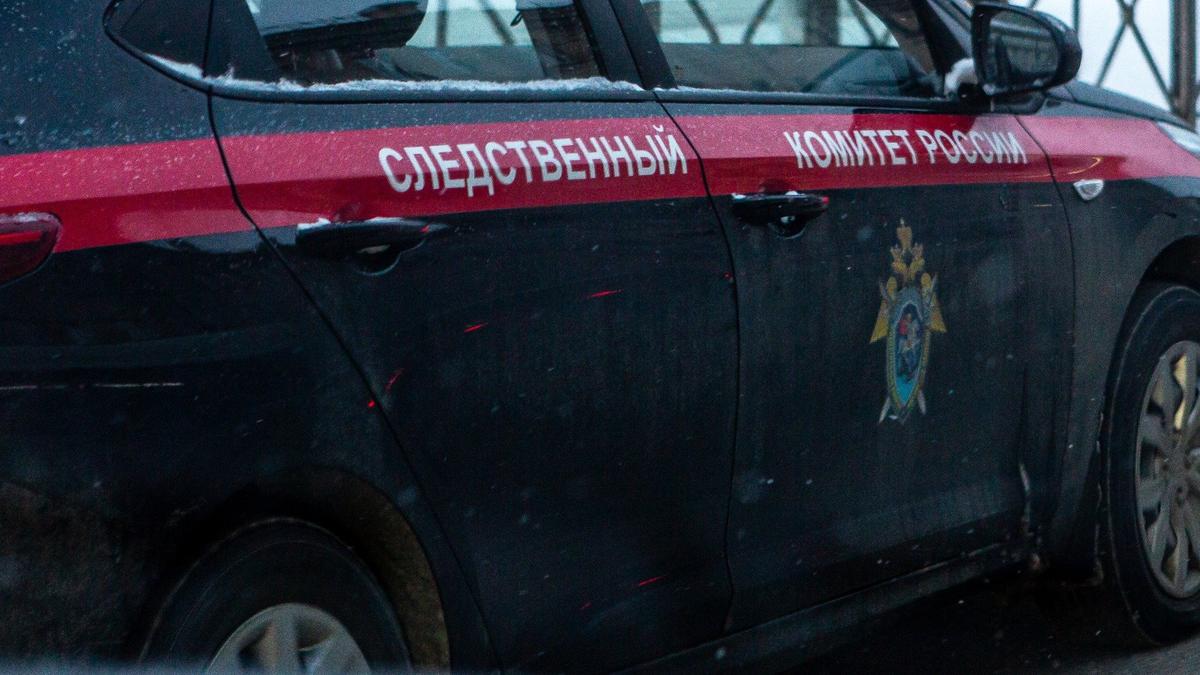 Фото: Олег Золото / МР7