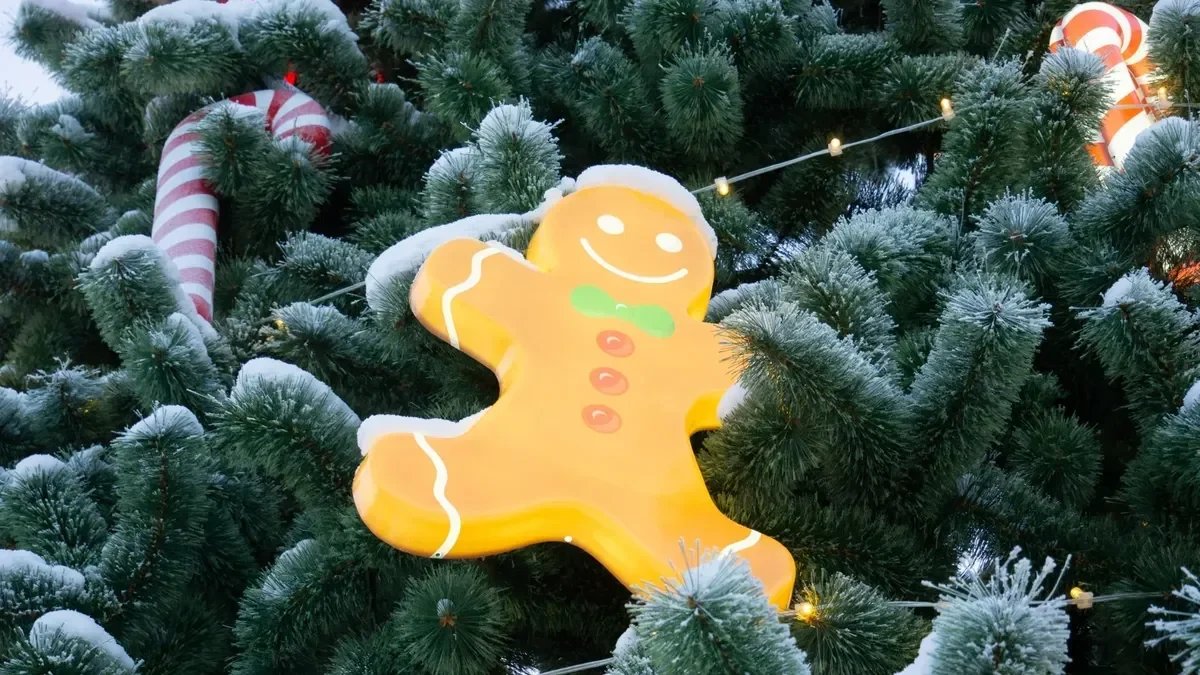 Фото: Дмитрий Абрамов / MR7