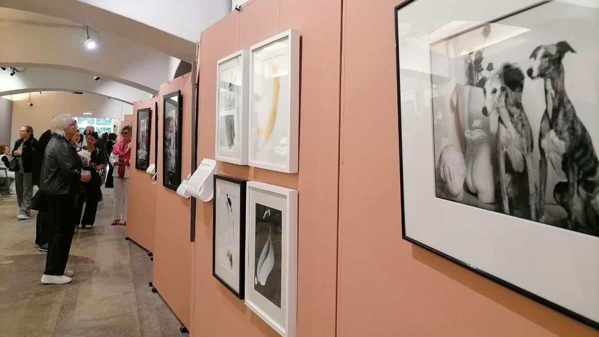 «Ленфильм» открыл новое пространство для зрителей: начали с «Дамы с собачкой»