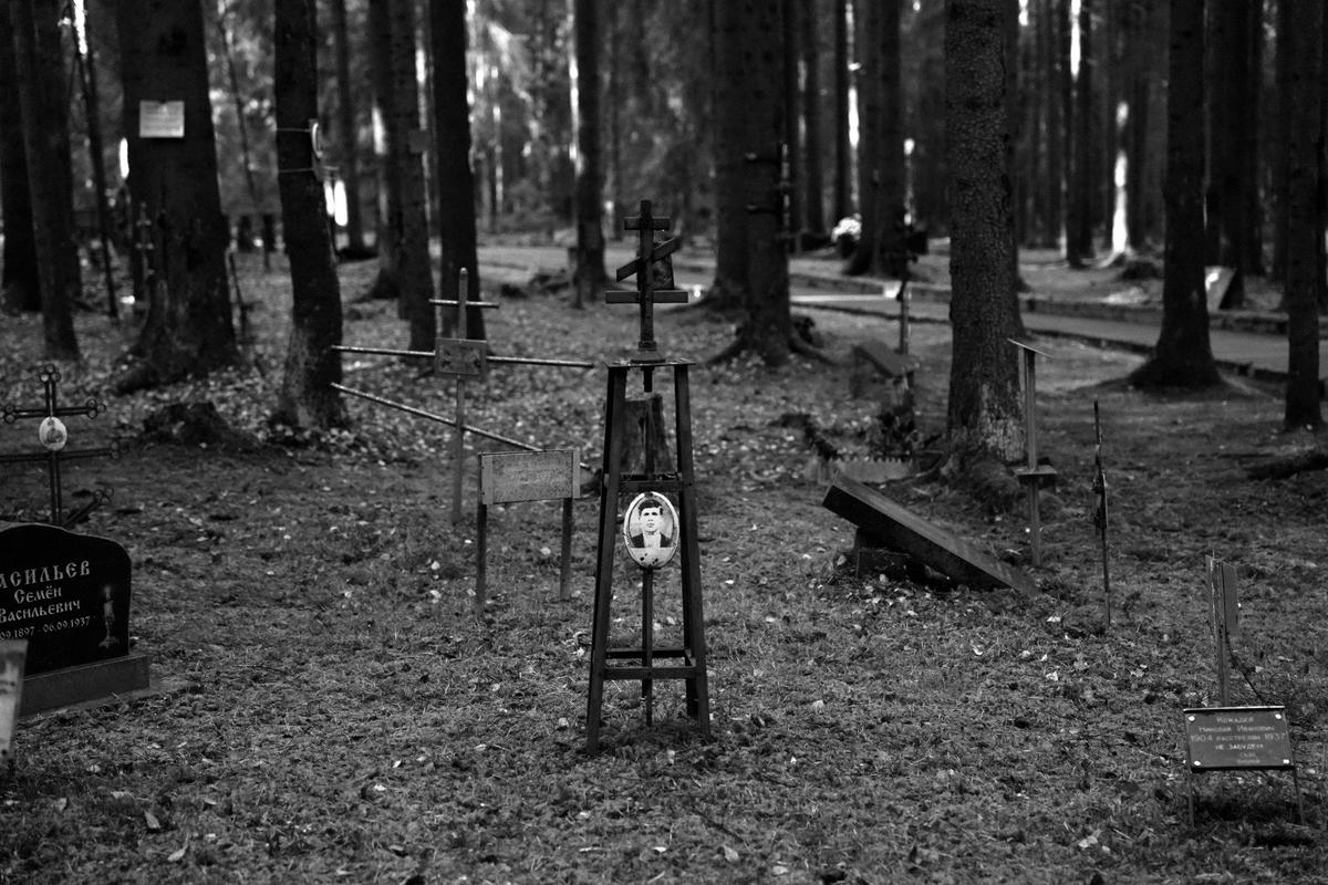 Фото: Павел Даиси / MR7